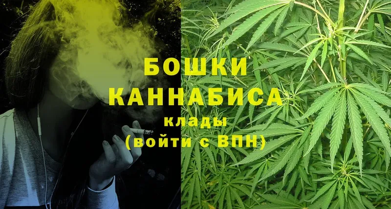 как найти закладки  Камышлов  Шишки марихуана Ganja 